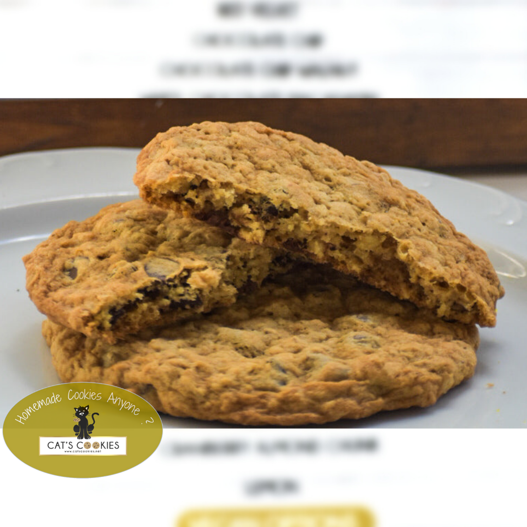 Oatmeal Chocolate Chip Jumbo Soft Baked Texas Sized Cookie